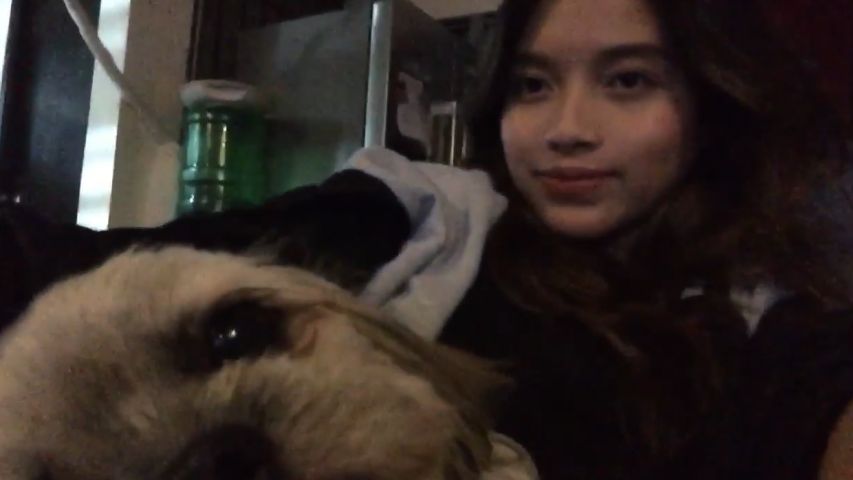 Saksi Ang Kanyang Doggie sa Kalaswaan na Ginawa ni Mommy